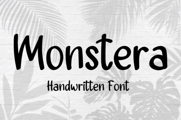 Monstera Font Review