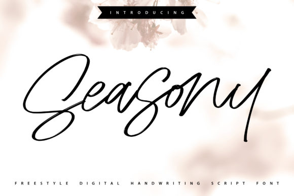 Seasony: A Beautiful Font for Business