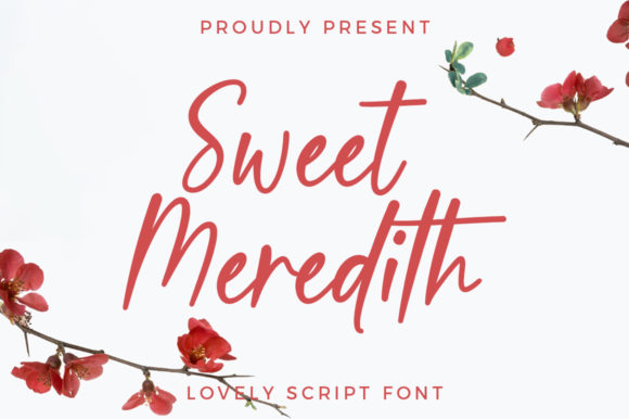 Sweet Meredith Font Review